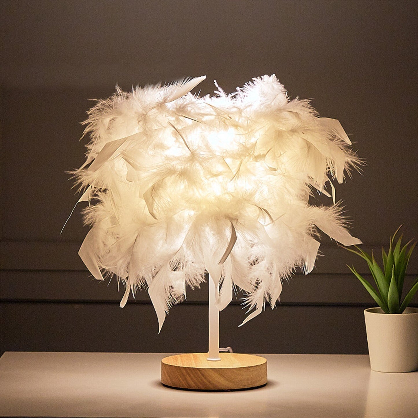 Feather lamp (Copy)